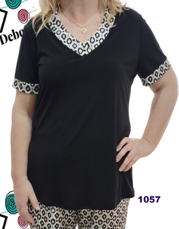 Modelo 10 1057